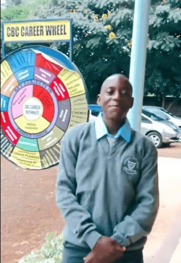 A student beside the CBC career wheel chart